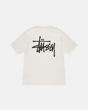 Natural Stüssy Basic Stussy Tee Pigment Dyed | TQSP8-2591