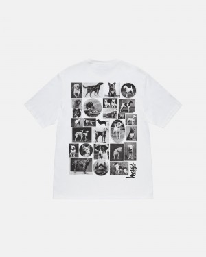 White Stüssy Dog Collage Tee | DKOY-36415