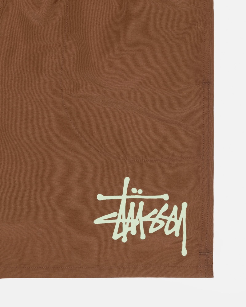 Coffee/Pistachio Stüssy Water Short Big Basic | MHKF6-5947