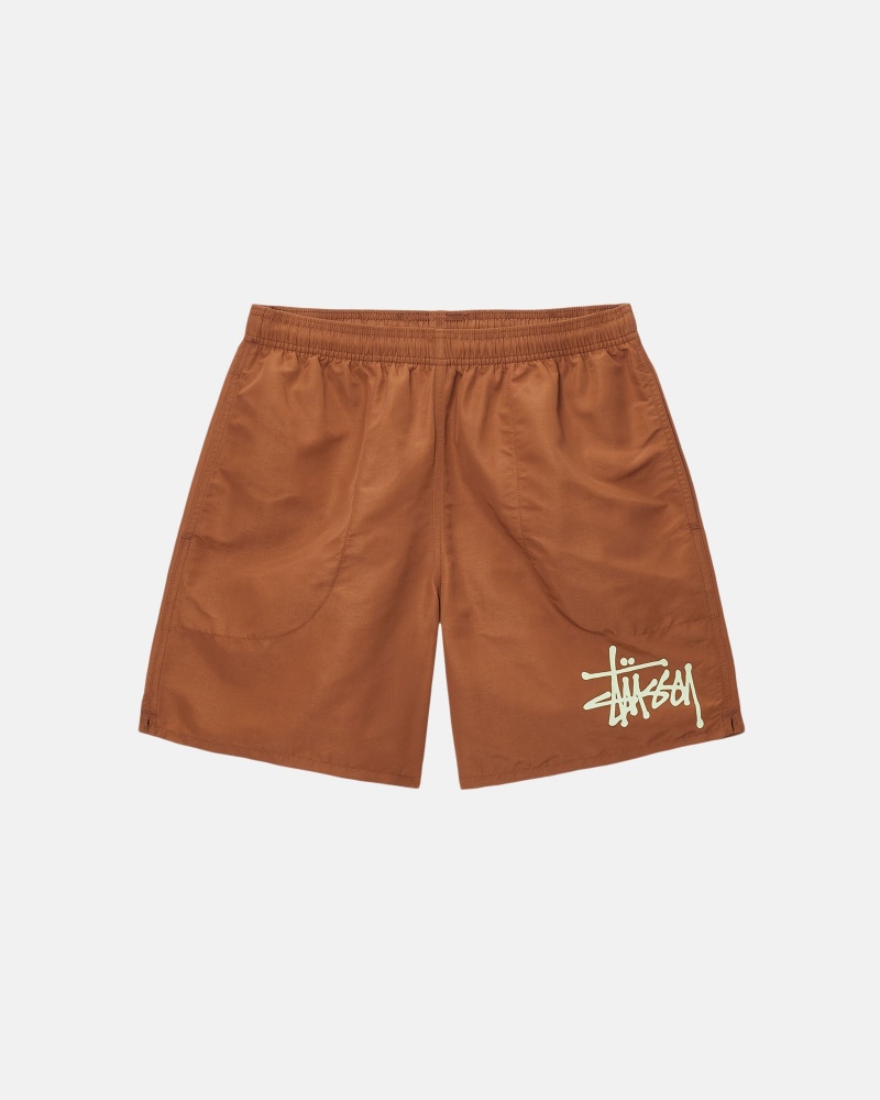 Coffee/Pistachio Stüssy Water Short Big Basic | MHKF6-5947