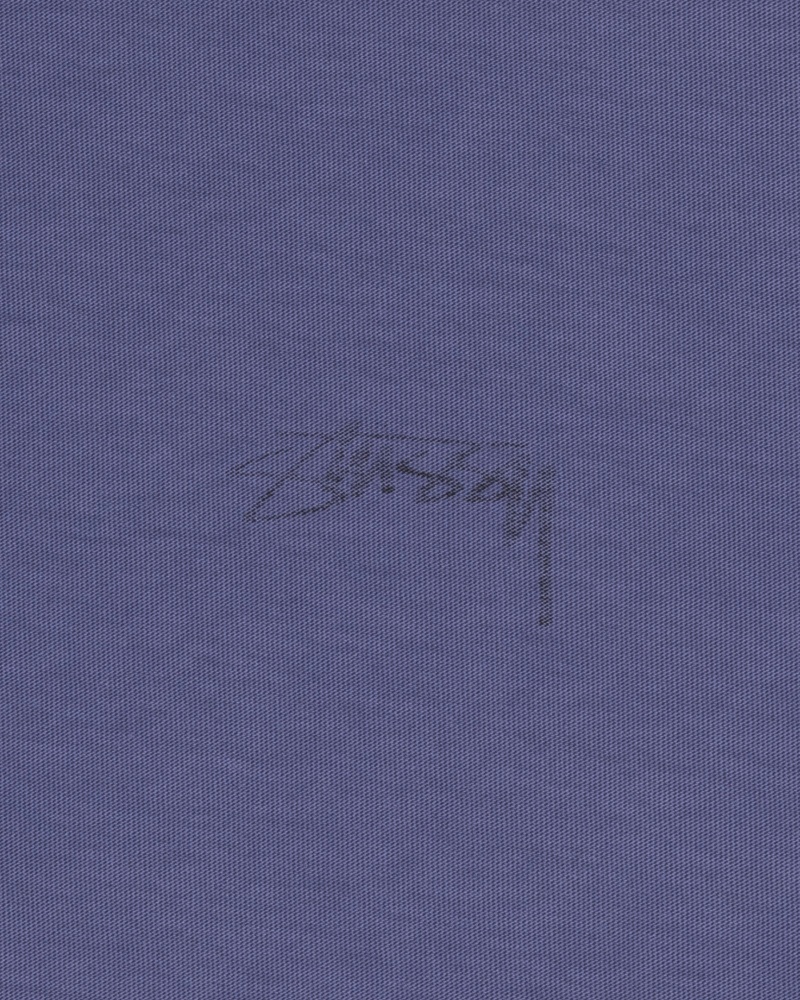 Deep Cobalt Stüssy Lazy LS Tee | SNGR9-6234