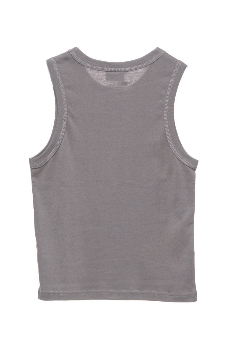 Grey Stüssy Stussy Rib Tank | HPIMLV-967