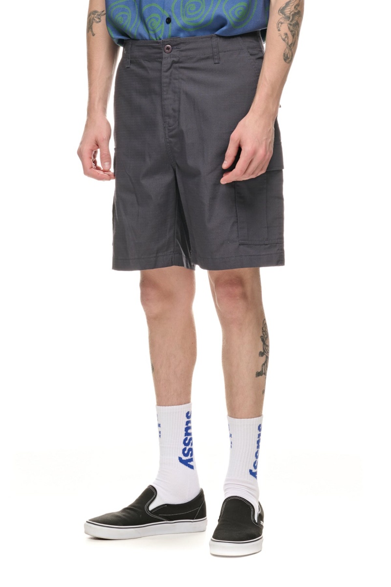 Grey Stüssy Surplus Cargo Short | ZDJEOV-231