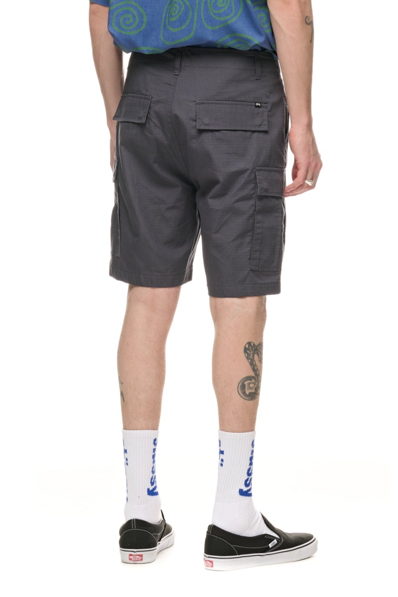 Grey Stüssy Surplus Cargo Short | ZDJEOV-231