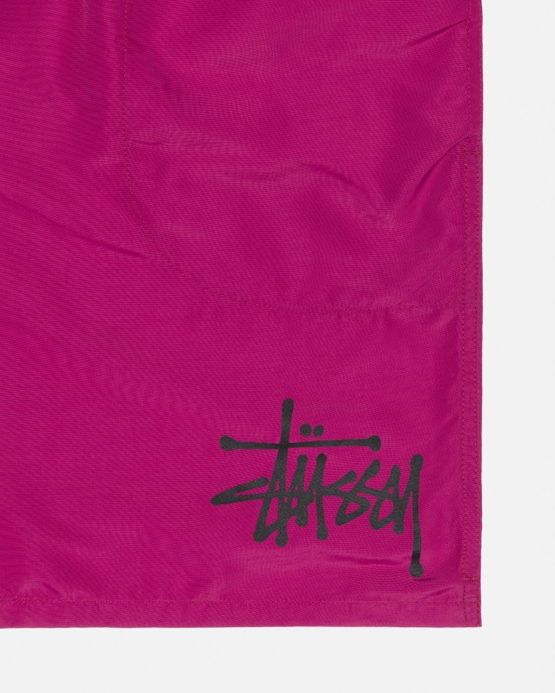 Magenta Stüssy Water Short Big Basic | XNKG0-3784