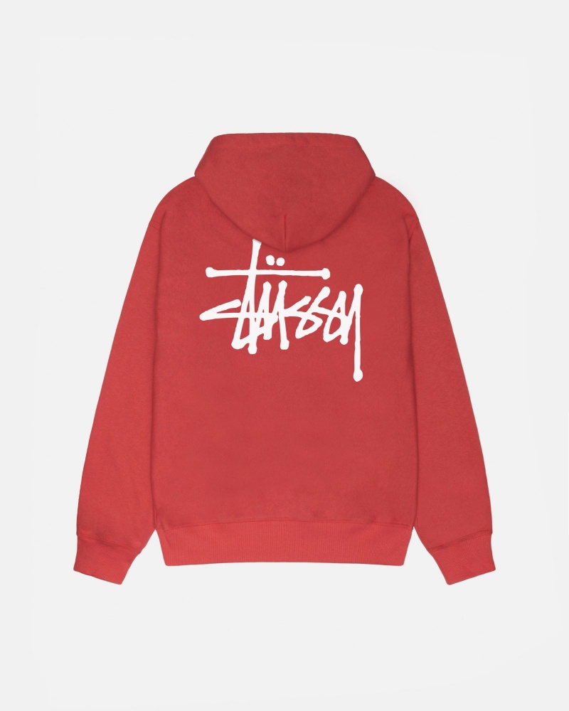 Pepper Stüssy Basic Stussy Hoodie | JNKF0-8173