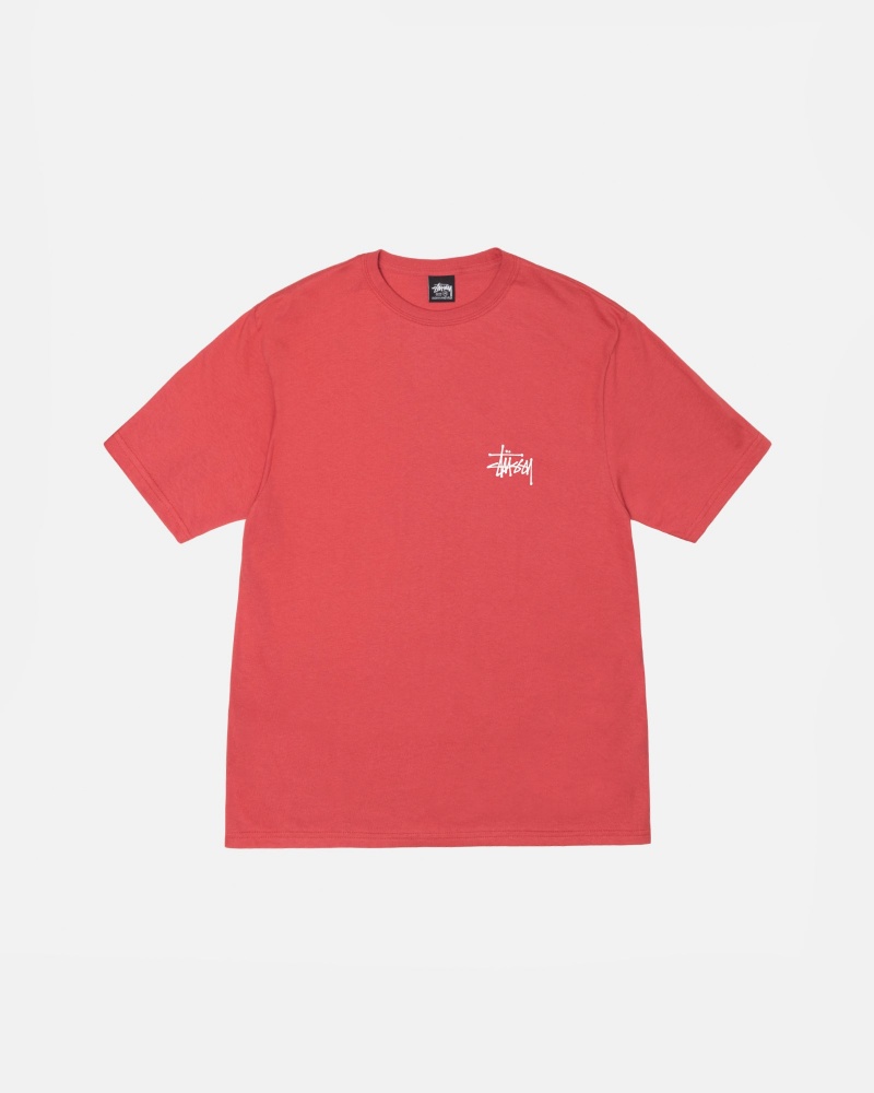 Pepper Stüssy Basic Stussy Tee | PGOF5-9180