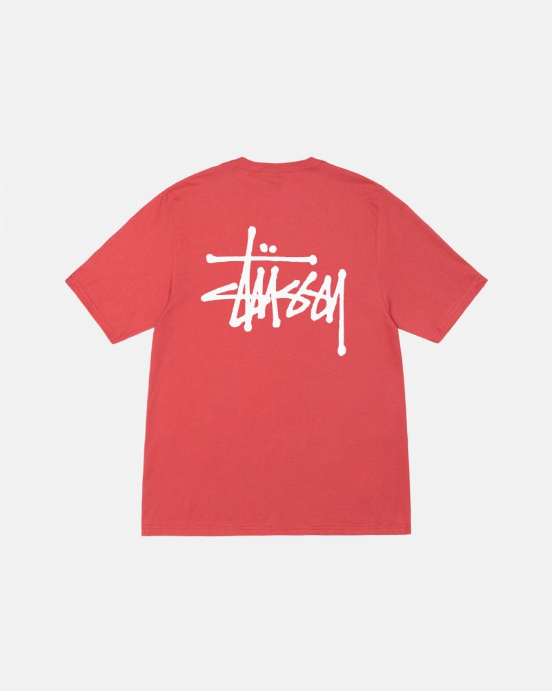 Pepper Stüssy Basic Stussy Tee | PGOF5-9180