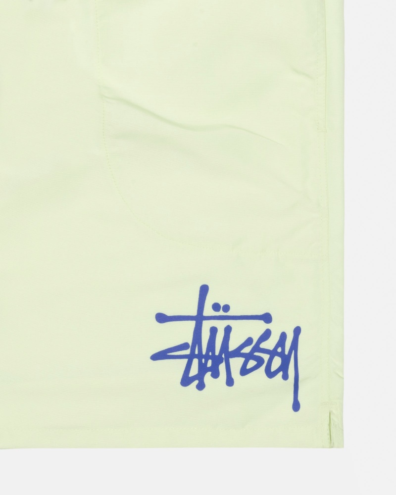 Pistachio Stüssy Water Short Big Basic | ZJOQ9-2104