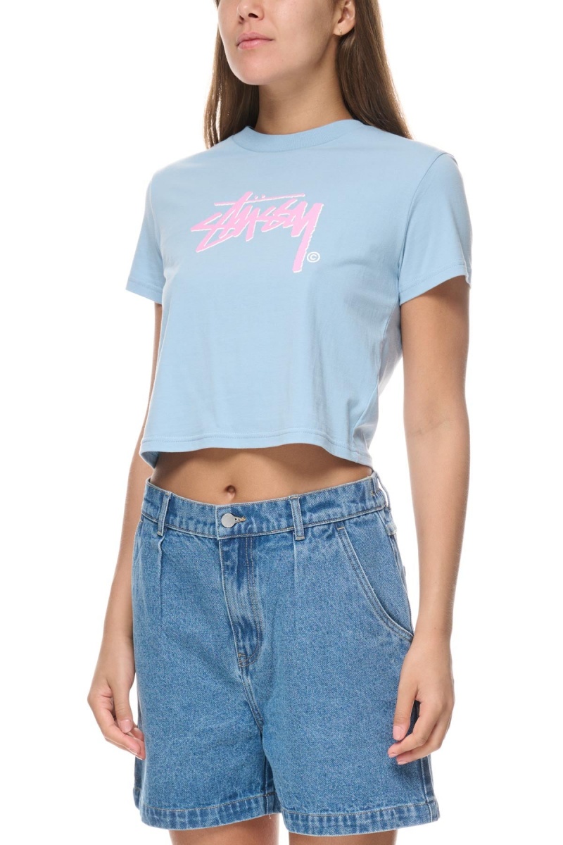 Steel Blue Stüssy Shadow Stock Slim Tee | DGUPSI-091