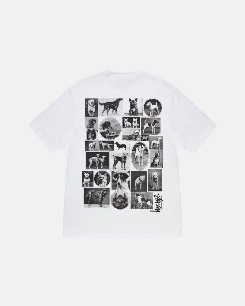 White Stüssy Dog Collage Tee | DKOY-36415